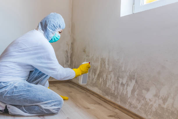 Mold Remediation specialist working in Carlisle